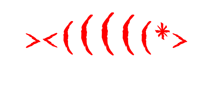 Catch&Eat